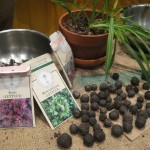 Yards to Gardens